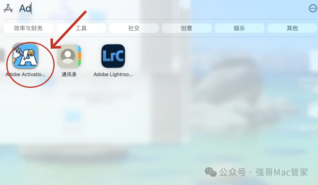 Adobe Lightroom 2026 for Mac安装包+安装教程安装教程配图 15