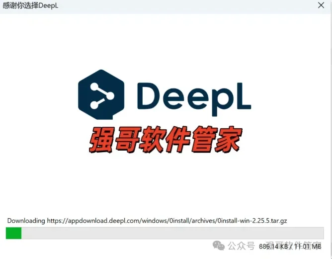 DeepL Pro安装包+安装教程安装教程配图 4