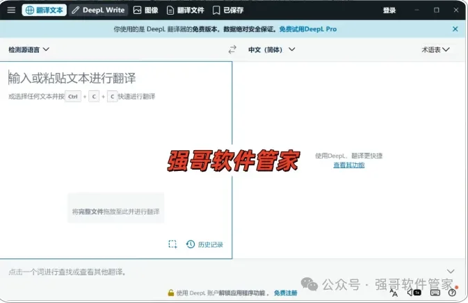 DeepL Pro安装包+安装教程安装教程配图 6