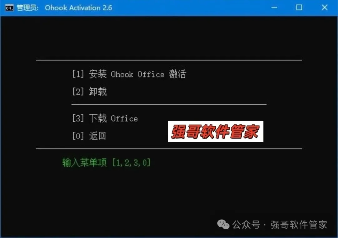 Office LTSC 2024安装包+安装教程安装教程配图 3