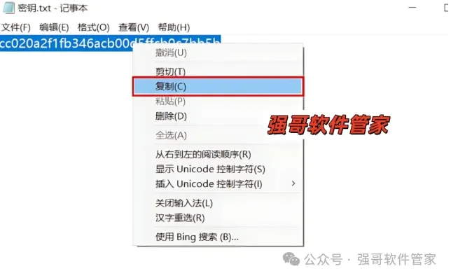 Axure RP Pro 11.0安装包+安装教程安装教程配图 15