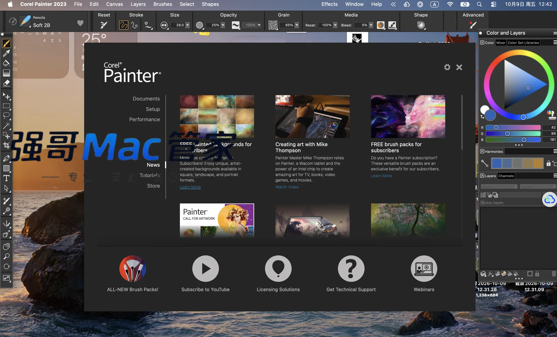 Corel Painter2023 for Mac安装包+安装教程安装教程配图 17